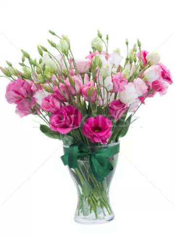 Лизиантус розовый от интернет-магазина цветов в 