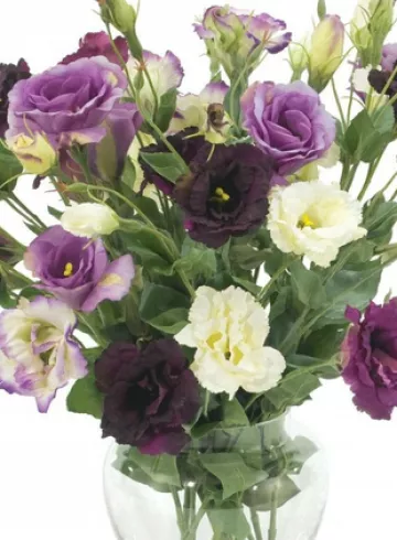 Эустома  микс от интернет-магазина цветов в 