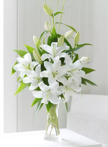 Заказать лилию поштучно в интернет-магазине Мастер и Маргаритка от интернет-магазина цветов в 