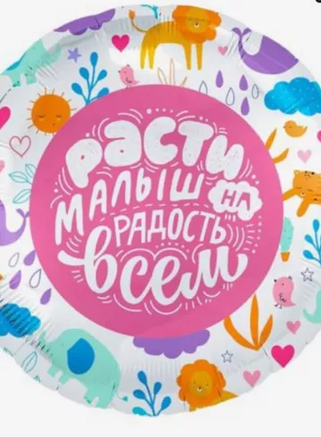 Фольгированный шар с гелием &laquo;Расти малыш&raquo; от интернет-магазина цветов в 