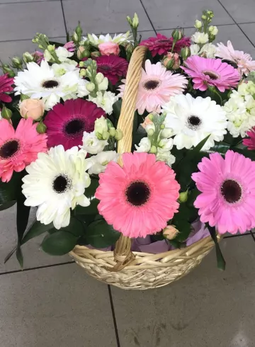 Корзина с герберами «Магия цвета» от интернет-магазина цветов в 