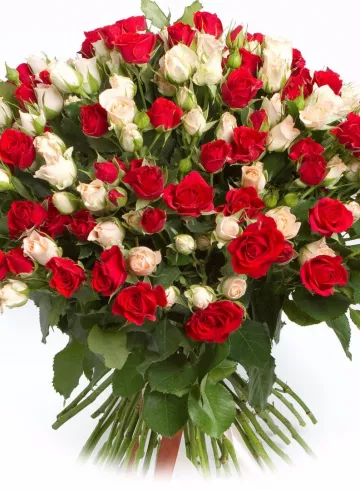 Роза кустовая в ассортименте от интернет-магазина цветов в 